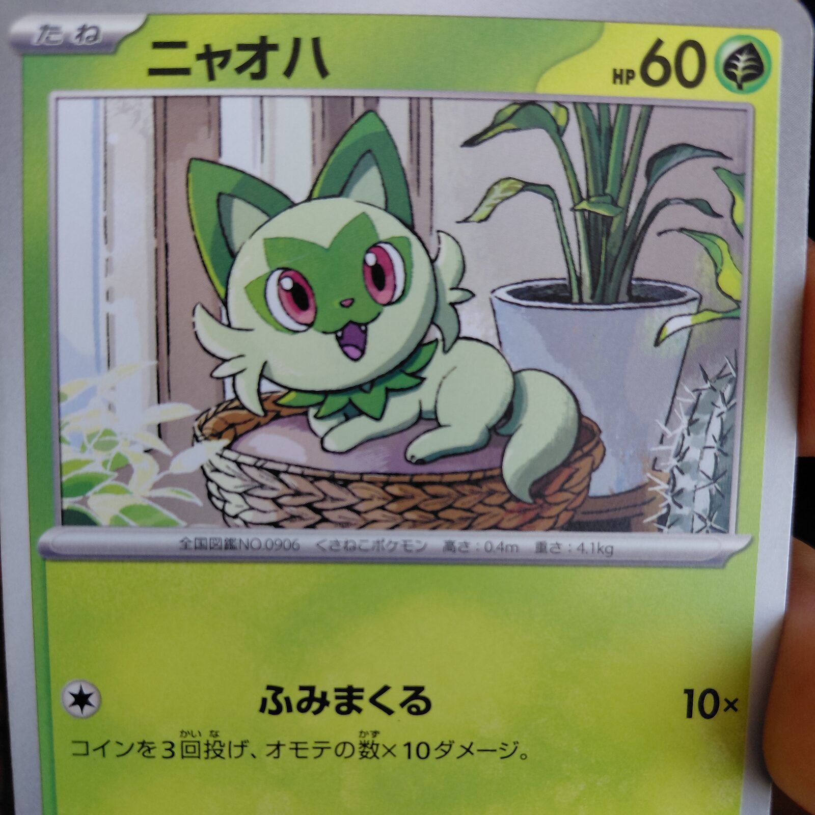 Carta Pokémon Sprigatito Japonesa
