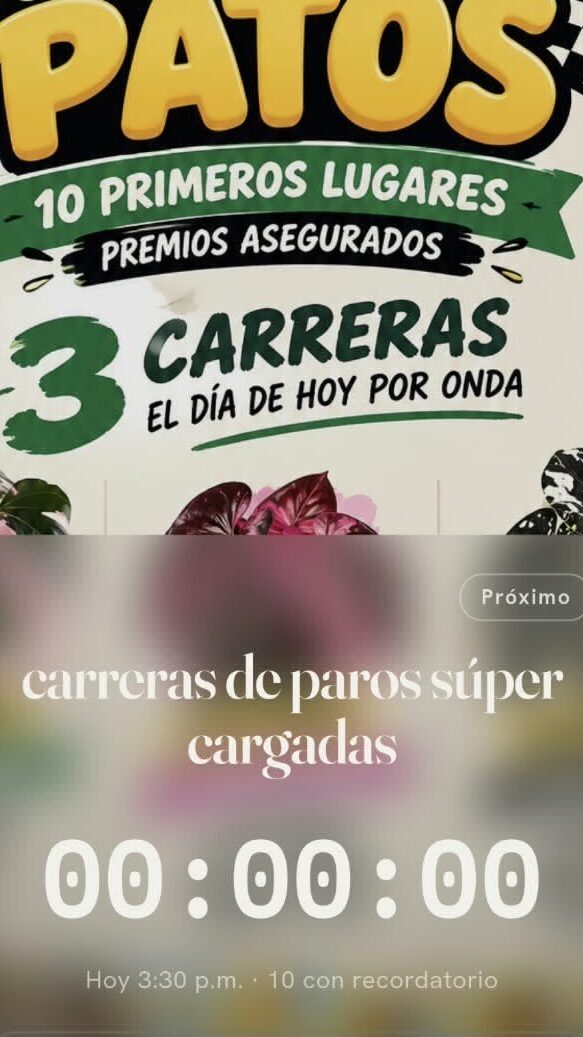 10 tiros  ruleta