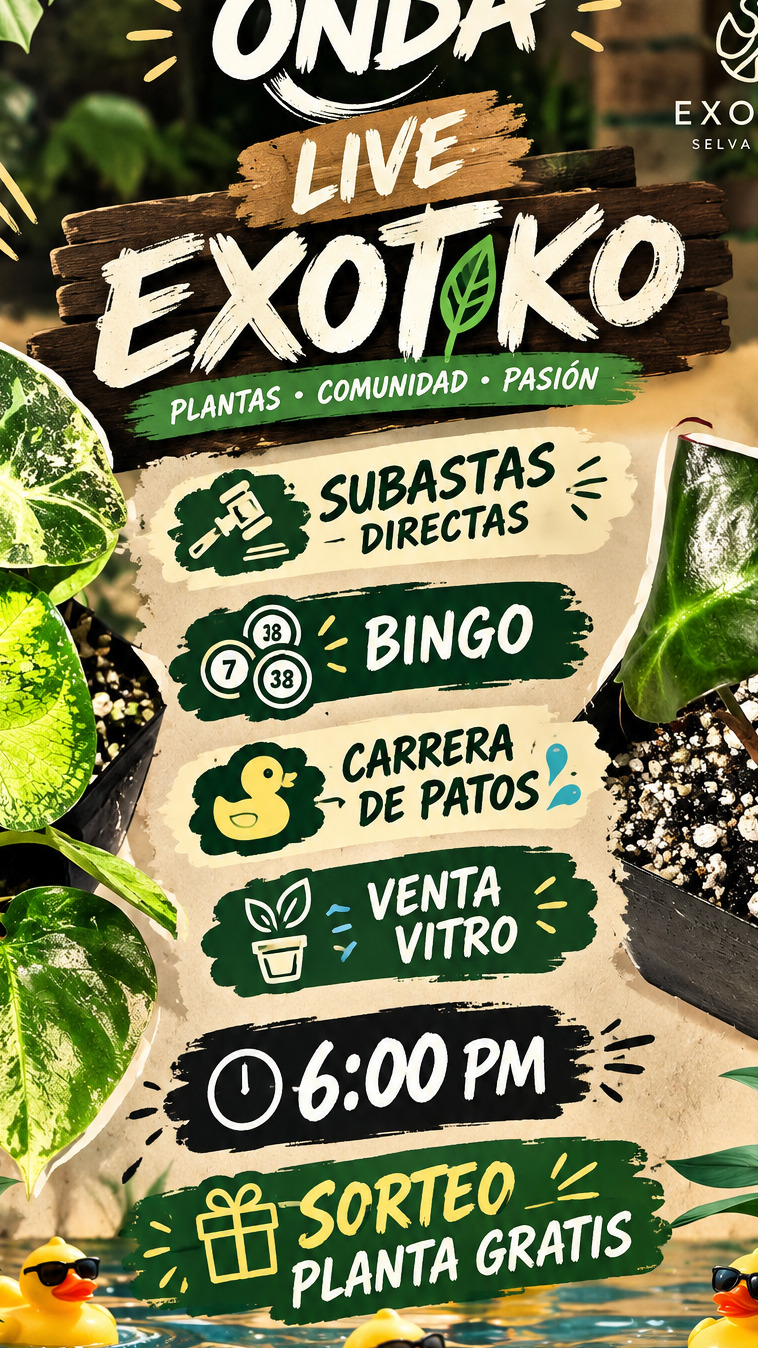 planta sorpresa