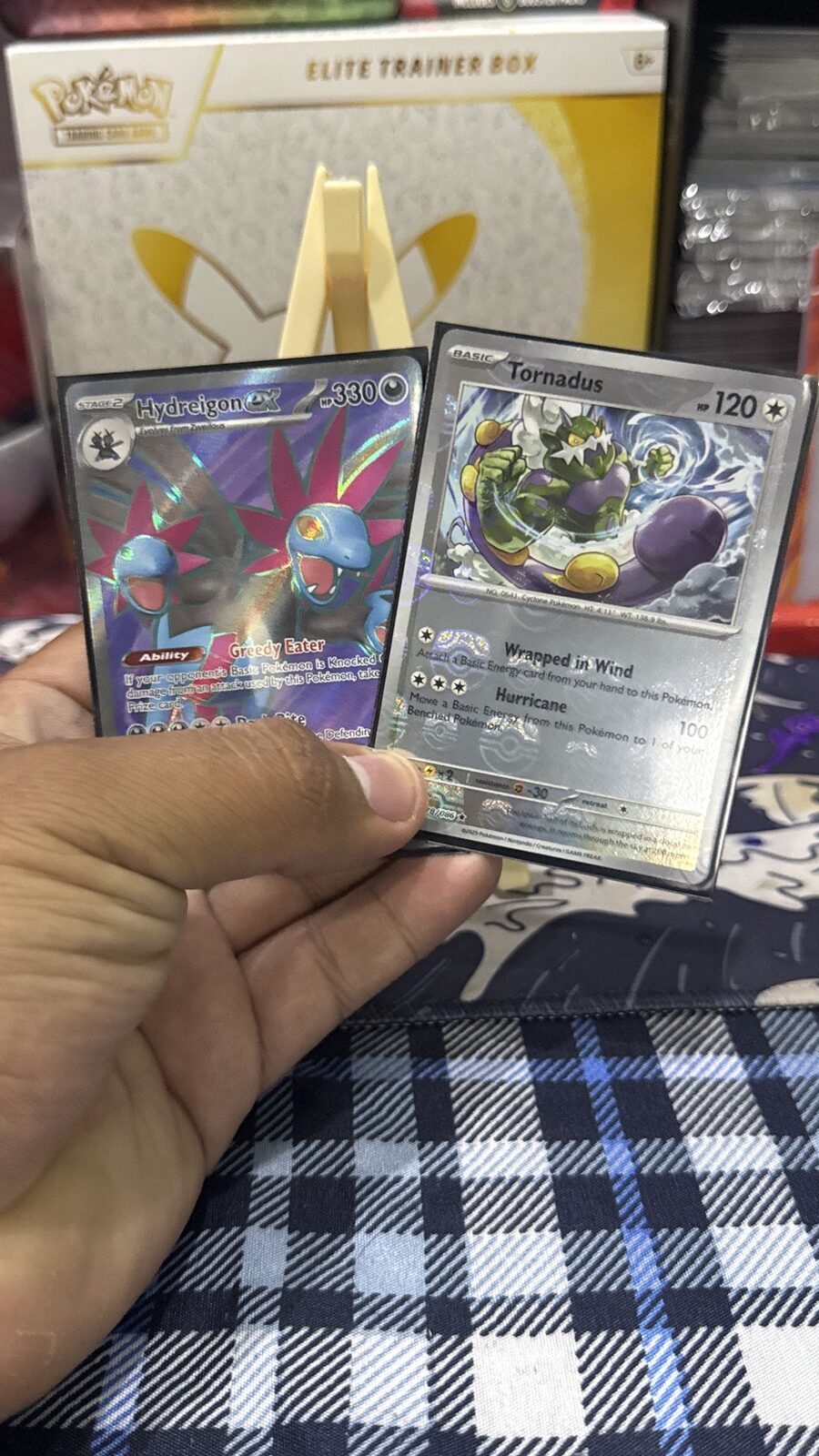 sorteo