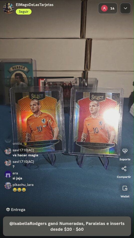 Wesley Sneijder Panini Select Lote