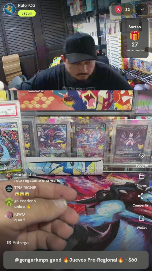 Micas Pokémon Evoluciones de Eevee
