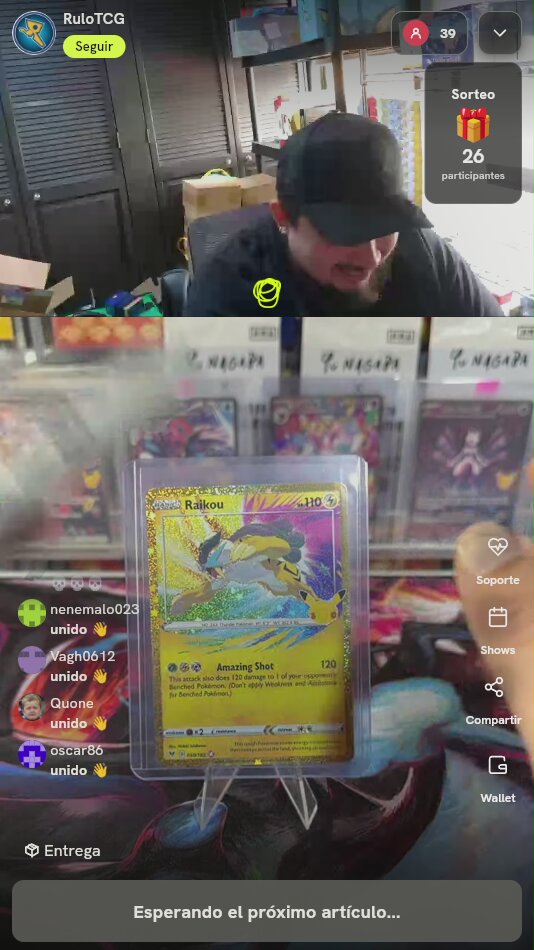 Raikou Amazing Rare Vivid Voltage