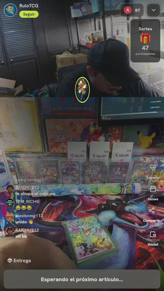 Fundas Eevee y Evoluciones