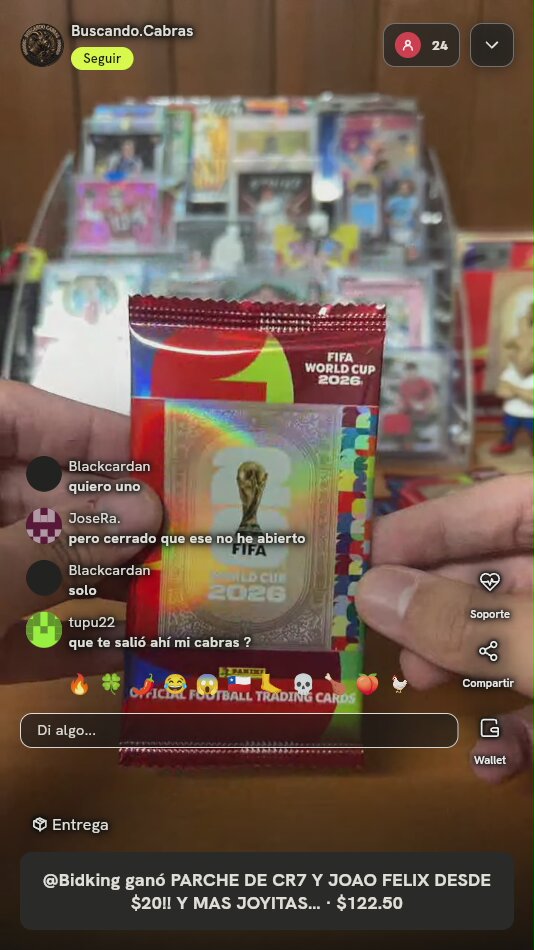 Panini FIFA World Cup 2026