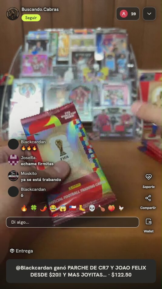 Panini FIFA World Cup 2026