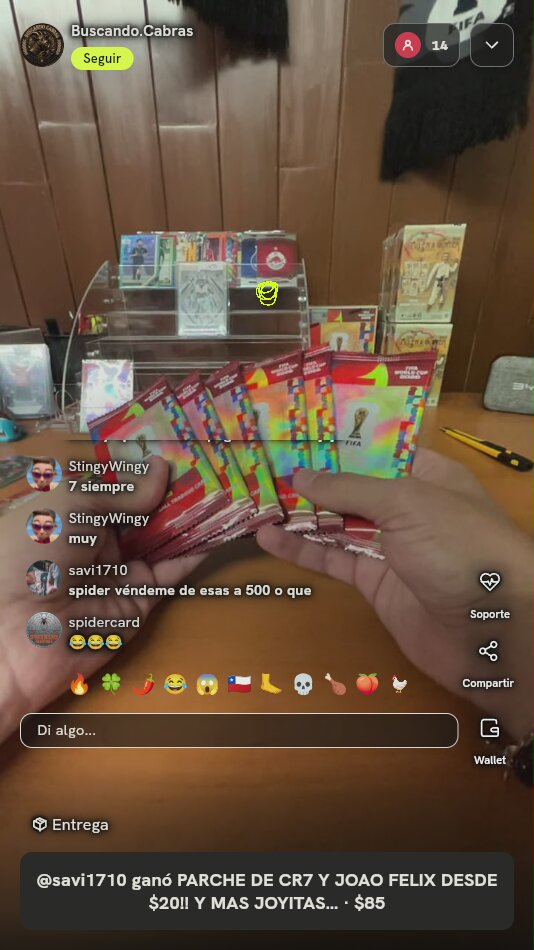 Panini FIFA World Cup 2026