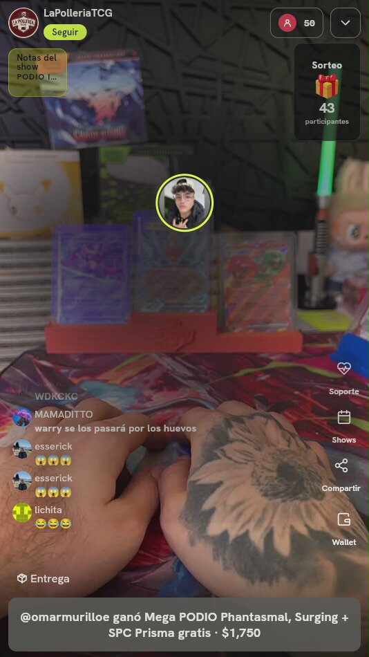 Lote de Cartas Pokémon