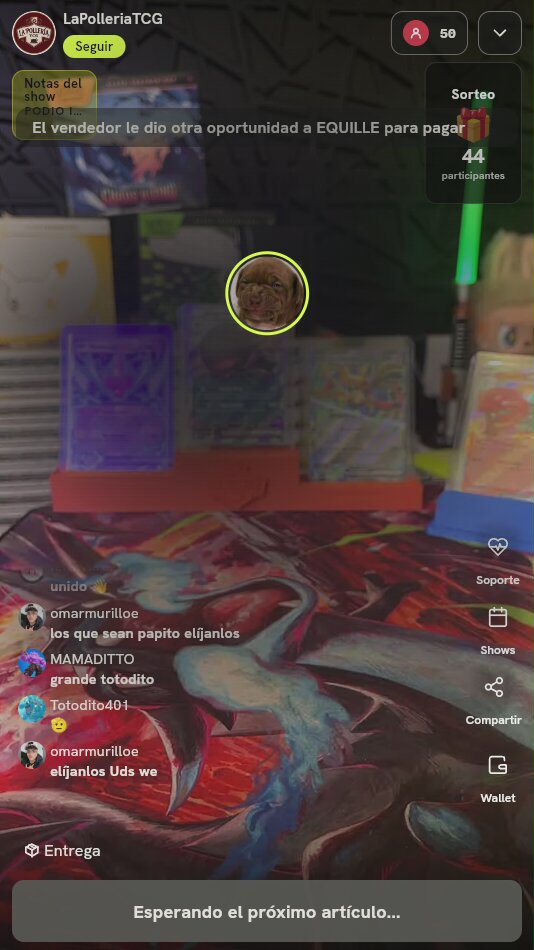 Lote Cartas Pokémon