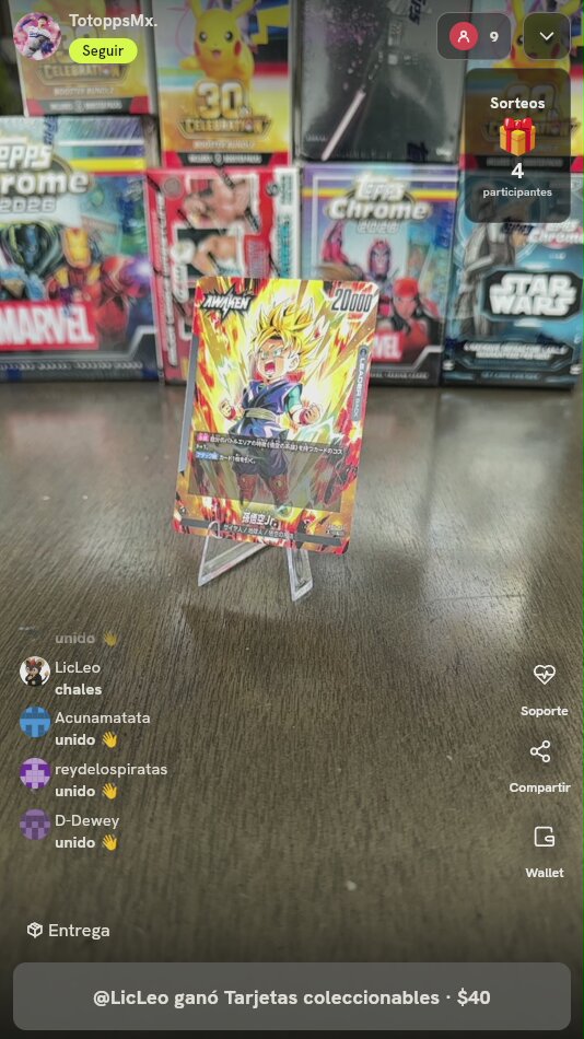 Son Goku Jr. Leader Card