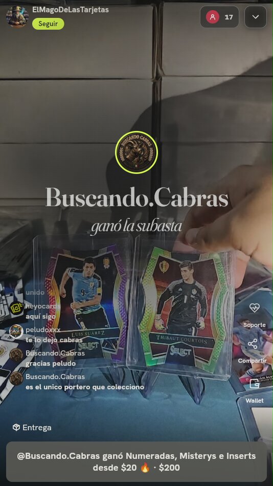 Lote Cartas Luis Suárez Courtois