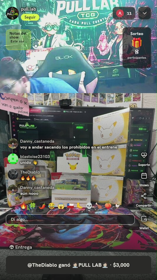 Pokémon 30th Celebration Lote