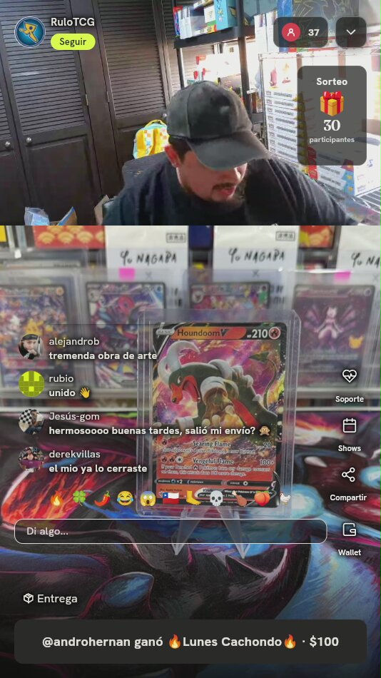 Houndoom V Darkness Ablaze