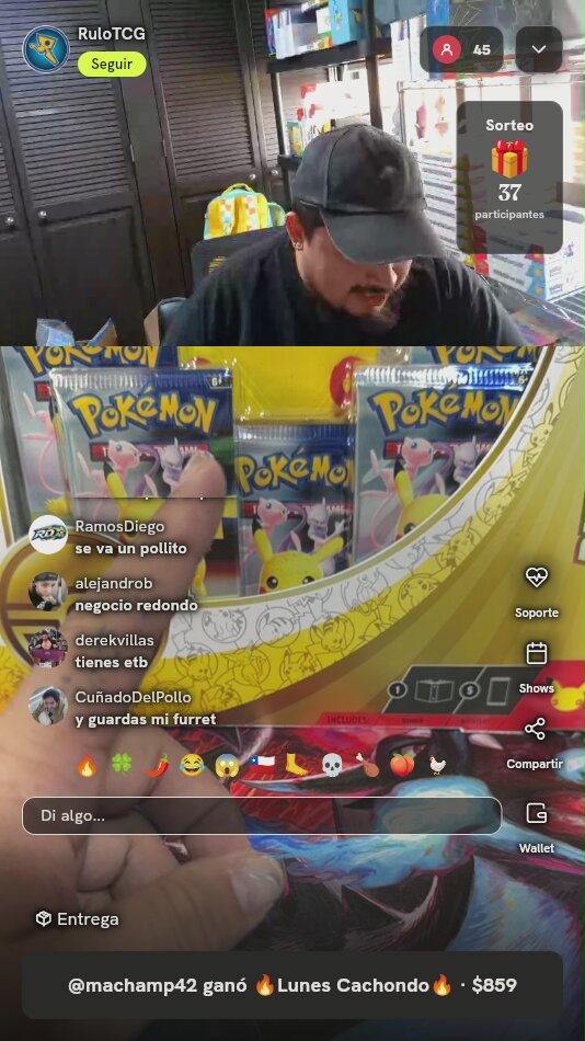 Pokémon 30th Celebration Binder Collection