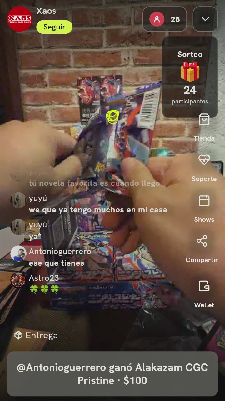 Sobre Pokémon Ninja Spinner