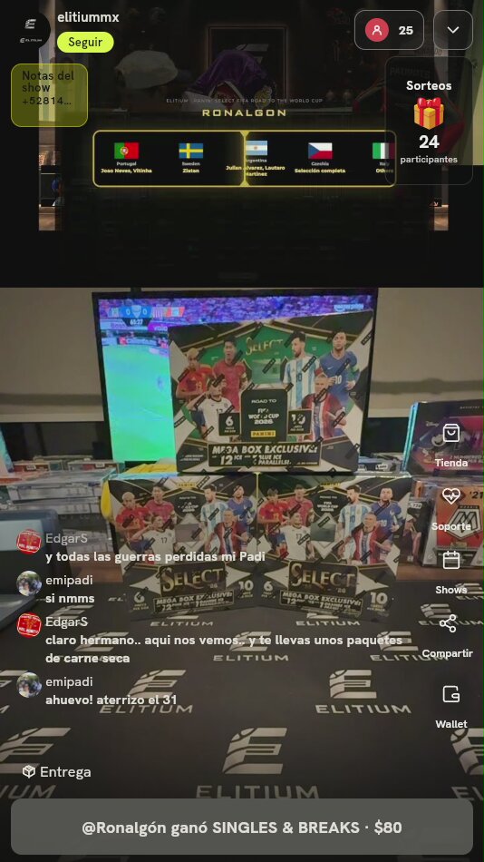 Panini Select Road to FIFA
