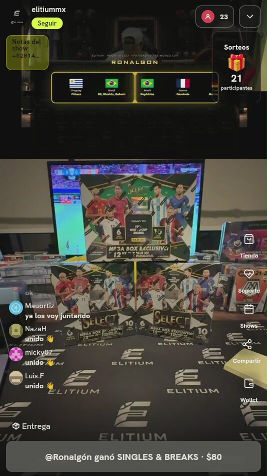 Panini Select FIFA World Cup