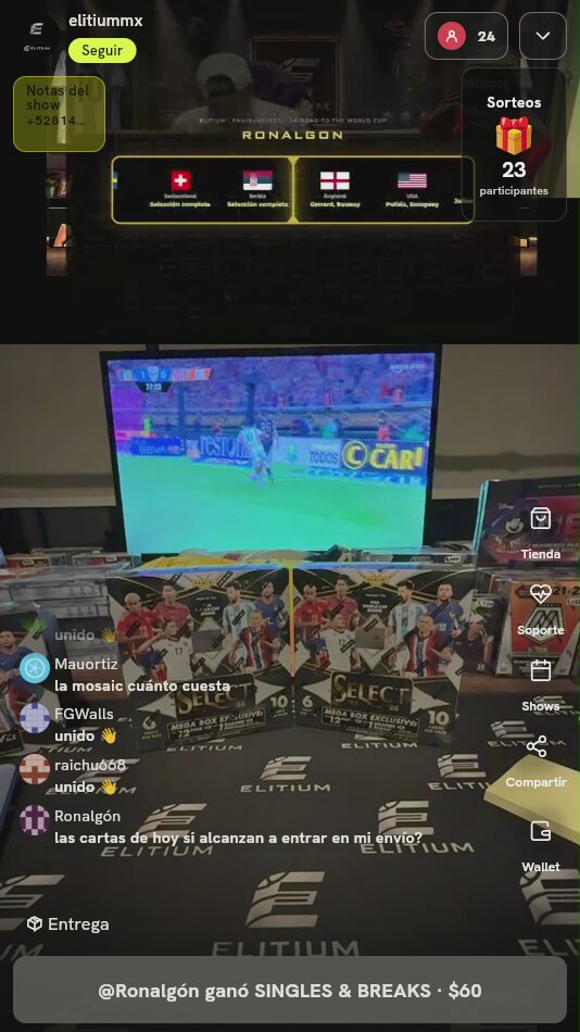 Panini Select Road World Cup