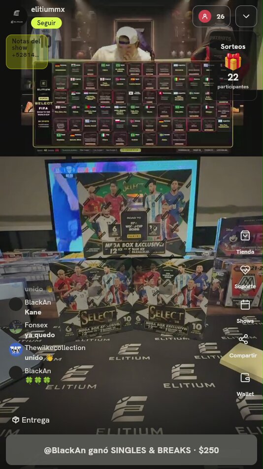 Panini Select Road To World Cup