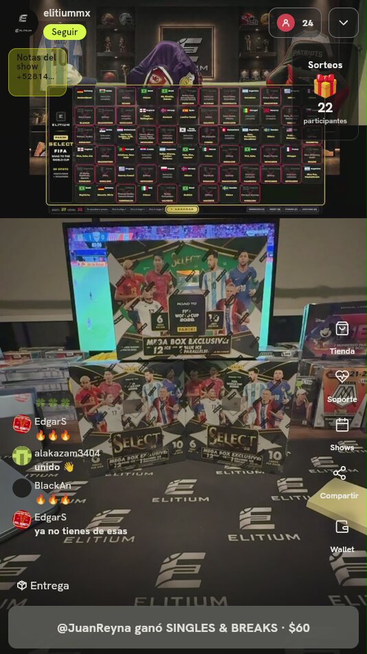Panini Select Road World Cup