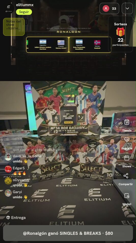 Panini Select Road World Cup