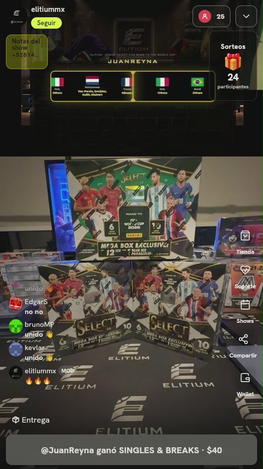 Panini Select Mega Box