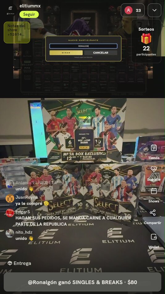 Panini Select Road World Cup