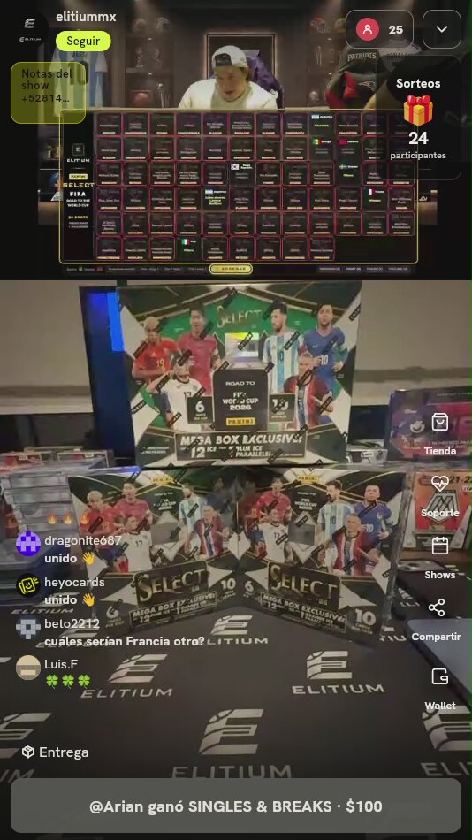 Panini Select Road To World Cup