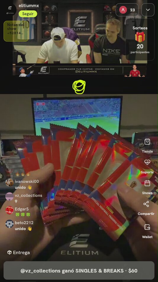 Panini FIFA World Cup Sobres