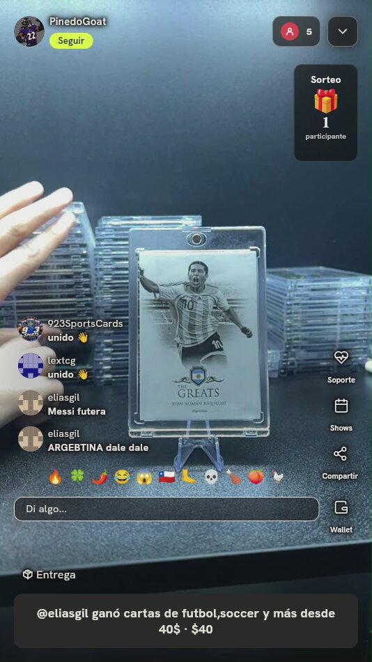Juan Román Riquelme The Greats