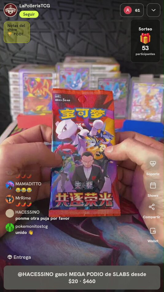 Sobre Pokémon Chasing Glory Together