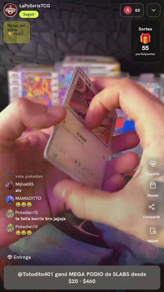 Lote de Cartas Pokémon Graduadas