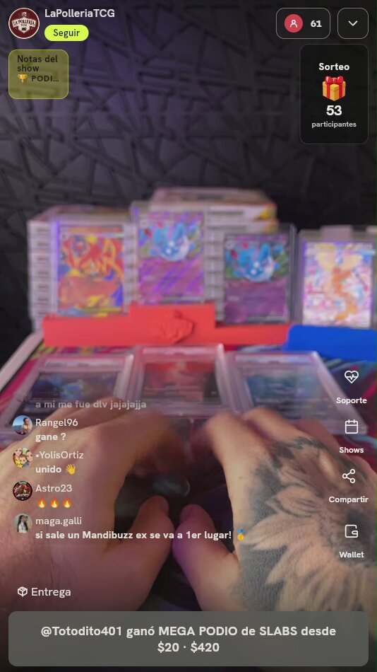 Lote Cartas Pokémon Graduadas