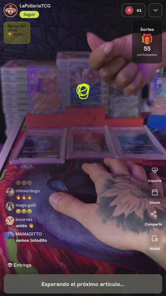 Lote Cartas Pokémon Graduadas