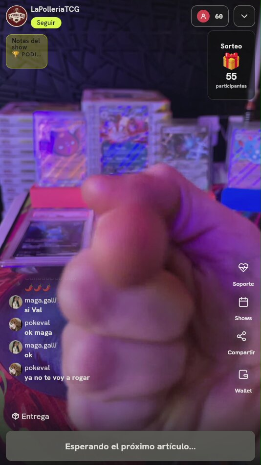 Lote Cartas Pokémon Graduadas