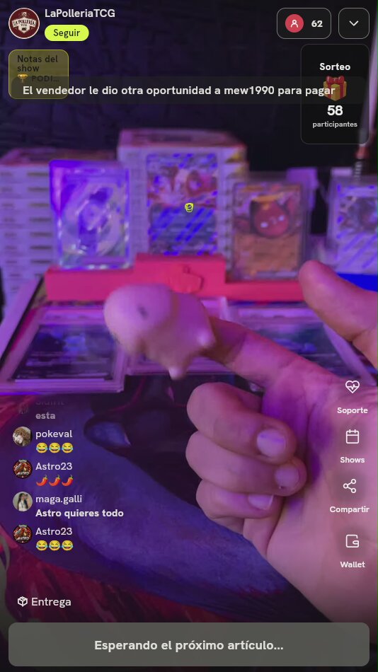 Lote cartas Pokémon graduadas