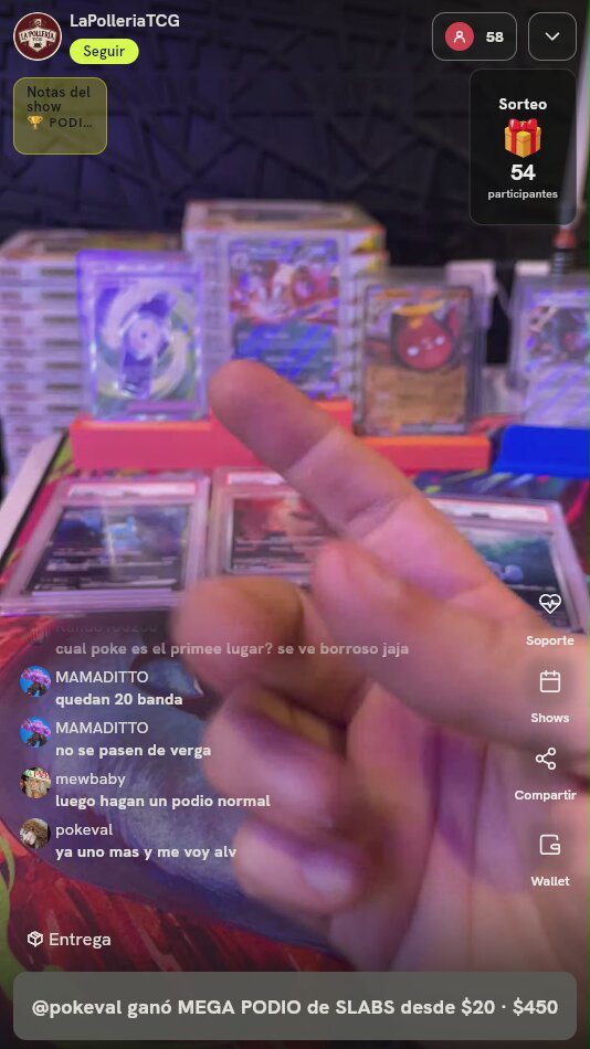 Lote Cartas Pokémon Graduadas