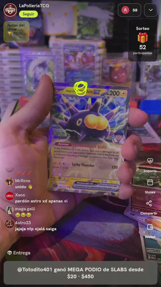 Lote de Cartas Pokémon Graduadas