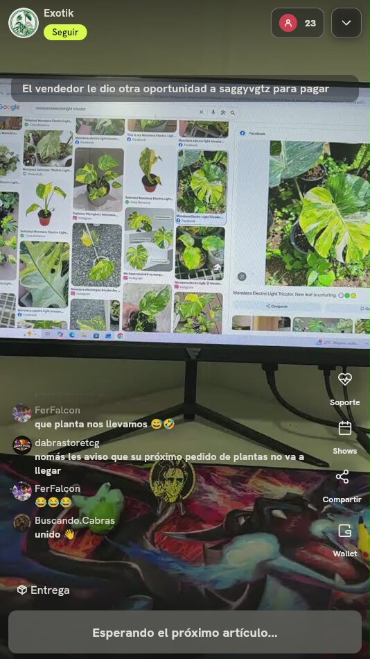 Artículo