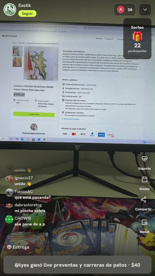 Cartas Pokémon surtidas