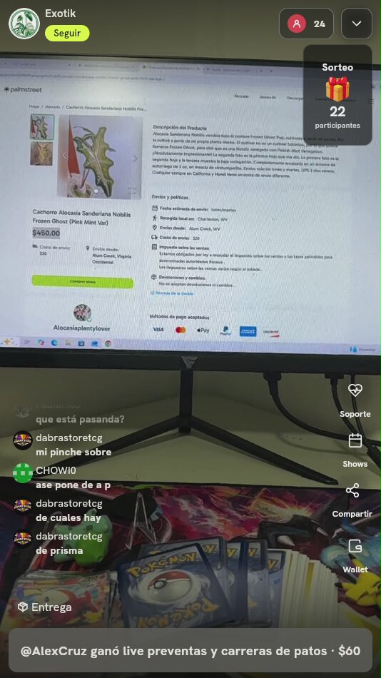 Lote Cartas Pokémon