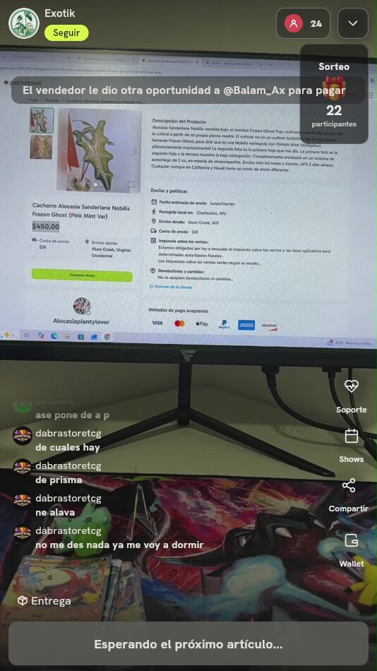 Lote Cartas Pokémon Celebrations