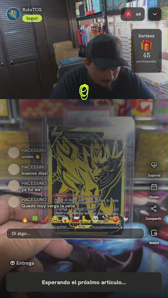 Zamazenta V Gold Card