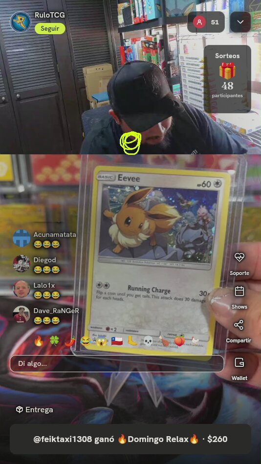 Eevee SM235 Promo Holo