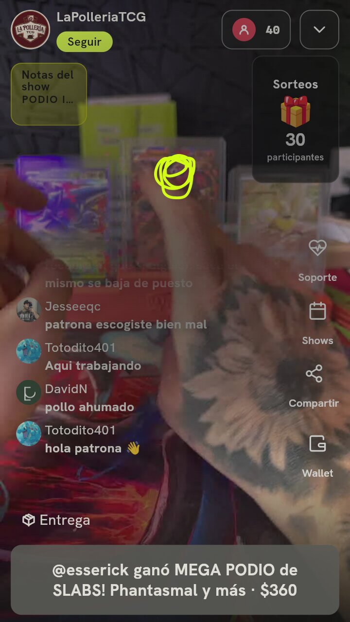 Lote Cartas Pokémon en Toploaders