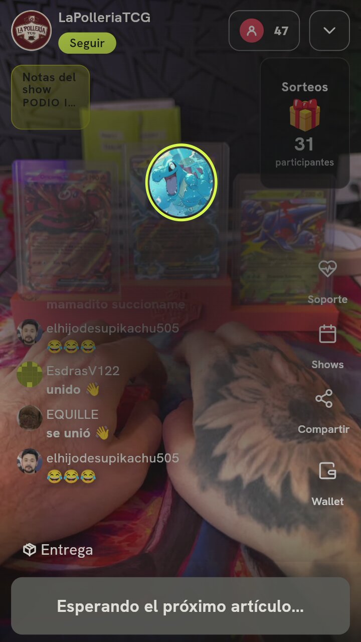 Lote Cartas Pokémon V/ex