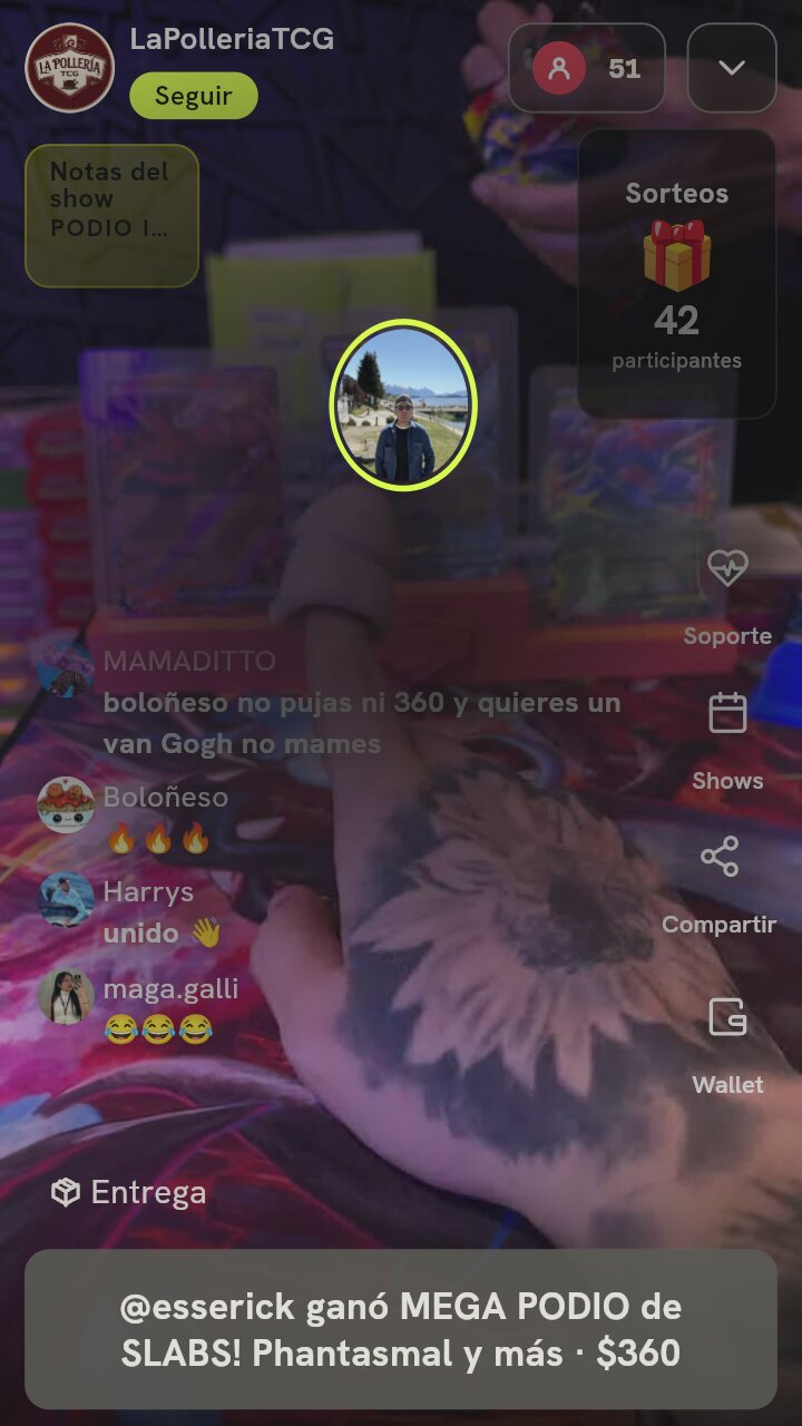 Lote cartas Pokémon ex