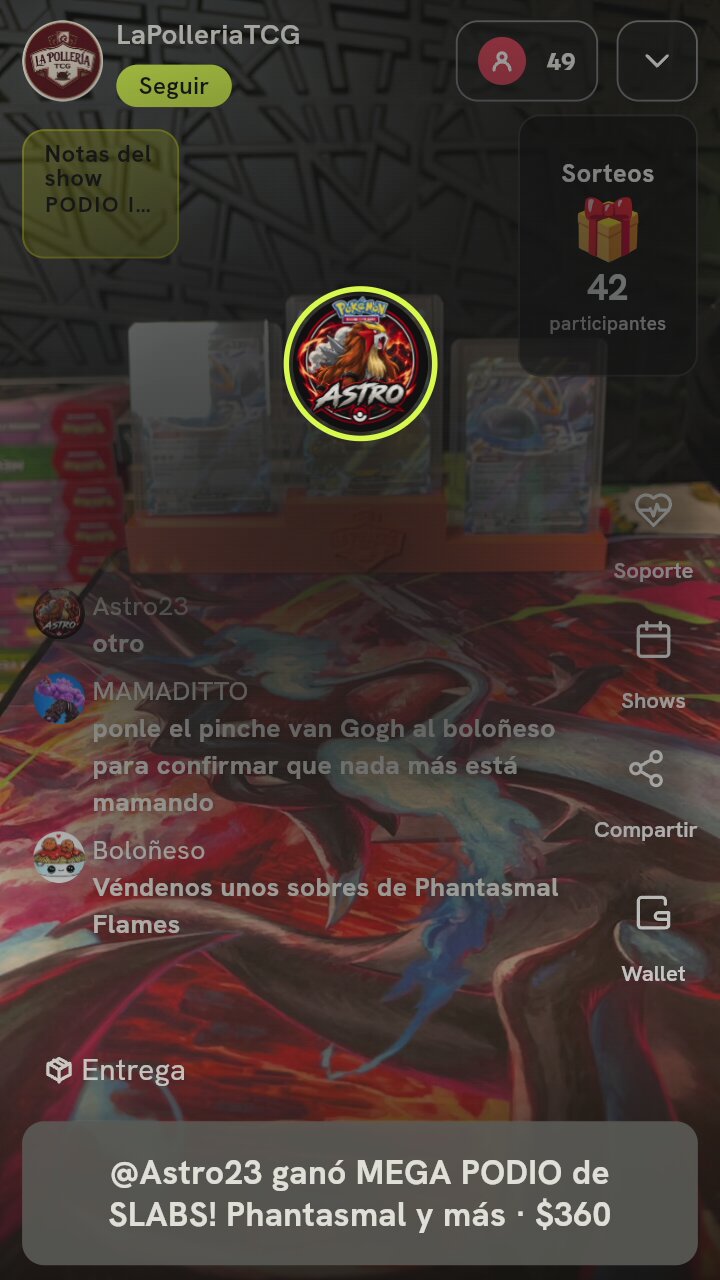 Lote cartas Pokémon graduadas