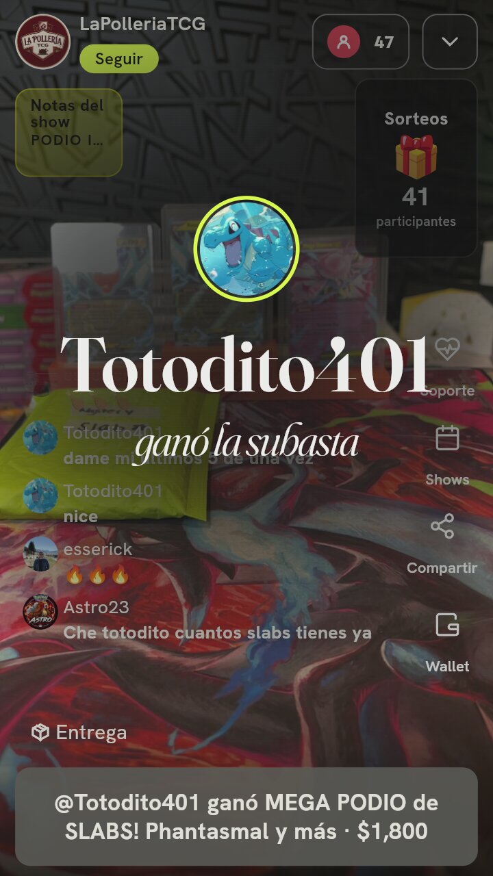 Lote de Cartas Pokémon Graduadas