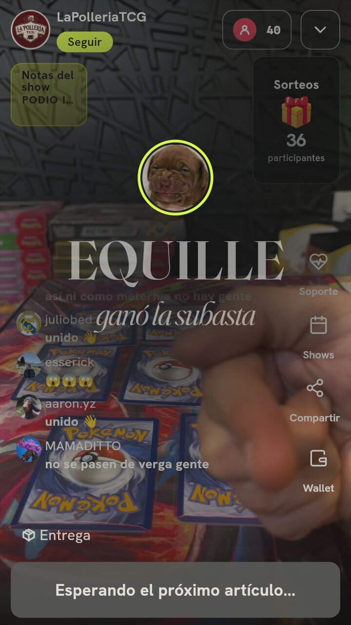 Lote de Cartas Pokémon